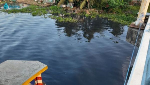 Bối cảnh và nhu cầu cấp thiết về nước sạch hiện nay