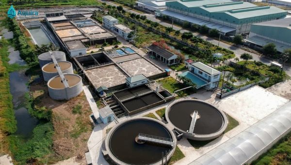 Nhà máy xử lý nước TP.HCM đóng vai trò trung tâm trong việc cung cấp nước sạch cho hàng triệu hộ dân, vận hành liên tục và ứng dụng công nghệ để đảm bảo chất lượng ổn định.