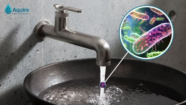 nhiễm khuẩn đường ống nước sinh hoạt