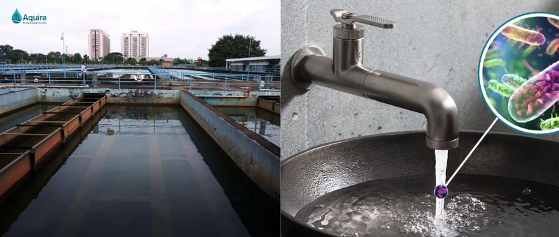 Nước cấp cho chung cư chủ yếu lấy từ nhà máy nước đô thị, đi qua bể chứa trung gian và mạng lưới ống nội bộ trước khi đến từng căn hộ