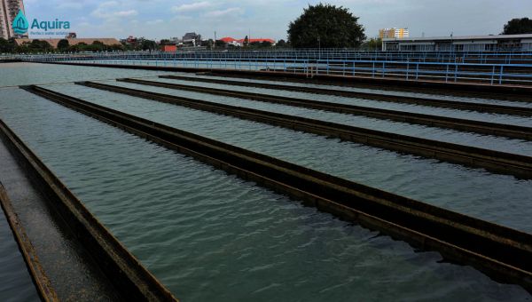 Nhà phố cần hệ thống lọc tổng để xử lý nước ngay từ đầu nguồn, loại bỏ cặn bẩn, clo và kim loại nặng, bảo vệ sức khỏe gia đình và tăng độ bền thiết bị sinh hoạt.