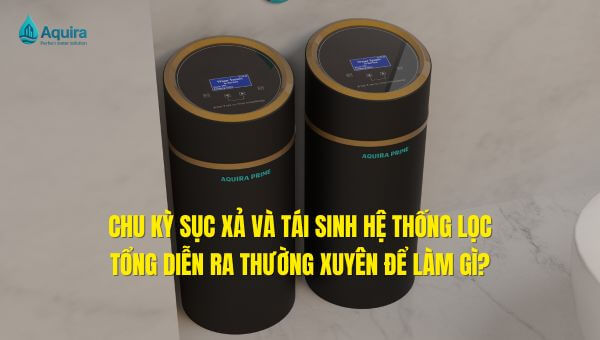 sục xả hệ thống lọc tổng