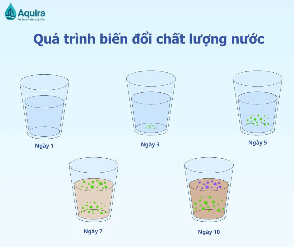 Sau khi sử dụng, một lượng nước đã lọc vẫn lưu lại trong cột lọc, đường ống và vật liệu, nếu không làm mới sẽ dần suy giảm chất lượng theo thời gian.
