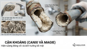 Cặn khoáng Canxi và Magie kết tủa đóng vôi trên thiết bị vệ sinh và thành ống nước.