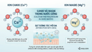 Đồ họa cấu trúc ion khoáng minh họa cho vấn đề **nước cứng và da** trong sinh hoạt tại **bước số 0 của skincare**.