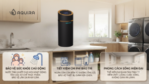 Kiểm soát áp suất và chất lượng nước toàn diện, khắc phục triệt để các rủi ro từ đường ống âm tường chung cư cũ.