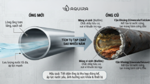 Những tạp chất tích tụ theo năm tháng bên trong ống dẫn nước