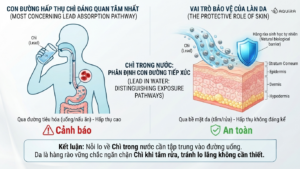 Sơ đồ phân tích kim loại trong nước và da trong các hệ thống cấp nước sinh hoạt.