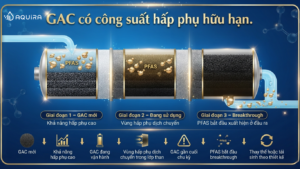 Breakthrough trong cột than hoạt tính