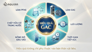 Các yếu tố ảnh hưởng đến hiệu quả hấp phụ