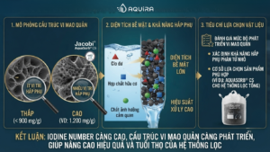 Minh họa chỉ số Iodine Number 