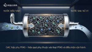 GAC hấp phụ PFAS trên cấu trúc mao quản