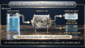 Cơ chế NF và RO xử lý PFAS trong nước
