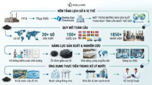 Quy mô toàn cầu
