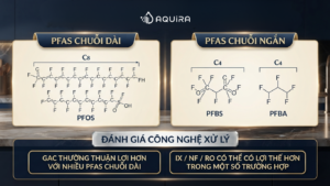PFAS chuỗi ngắn và chuỗi dài