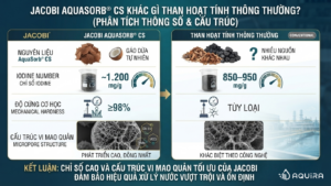 Cấu trúc vi mao quản bên trong hạt than.