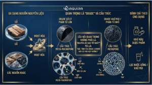 Than hoạt tính từ gỗ và các nguồn nguyên liệu khác