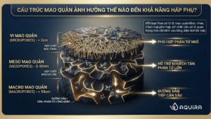cấu trúc micropore mesopore macropore của than hoạt tính