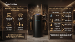 Hệ thống tự động vận hành