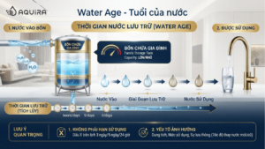 Water age là thời gian nước lưu trong bồn trước khi sử dụng