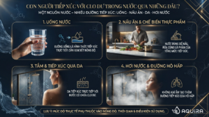 các đường tiếp xúc với clo dư trong nước