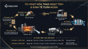 Carbon và mô hình kinh tế tuần hoàn