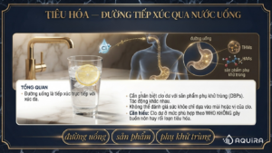 tiếp xúc qua đường uống