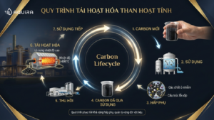 Vòng đời carbon sau sử dụng
