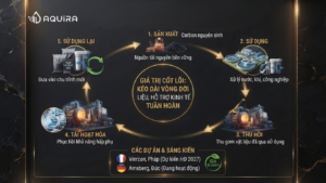 vòng đời tái hoạt hóa than hoạt tính trong xử lý môi trường